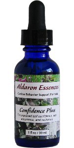 dog-confidence-natural-flower-remedy Confidence Plus: Natural remedy for confidence in dogs