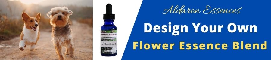 Design Your Own Bach flower essence blend service