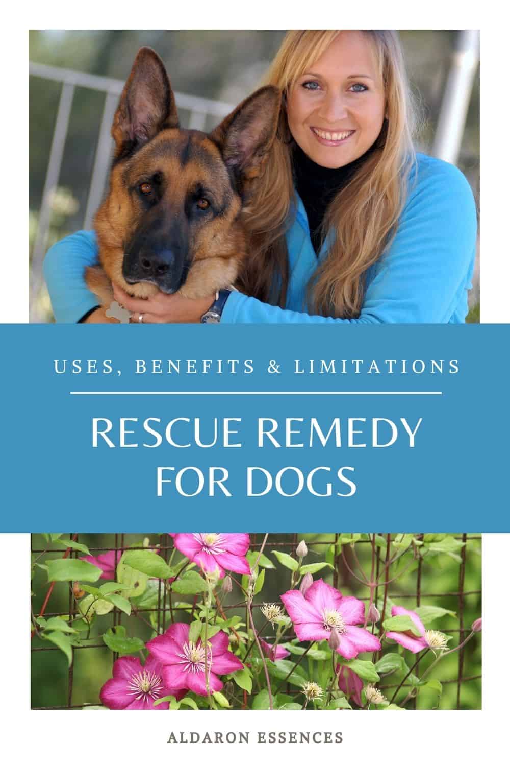 Bach Rescue Remedy for Dogs: Uses and Limitations